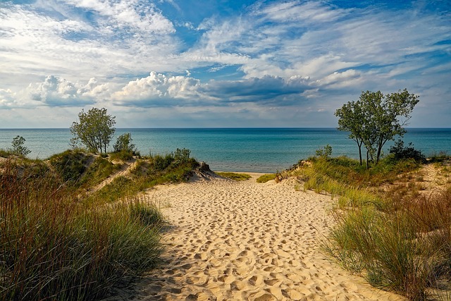 Why You Should Clean a Beach