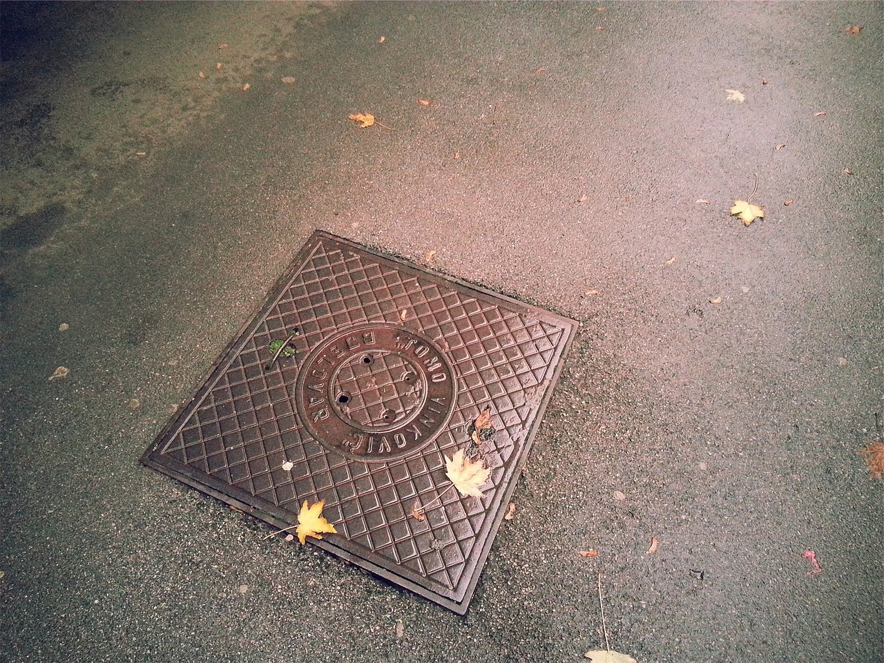 Keep Your Drains Flowing: A Guide to Sewer Line Cleaning